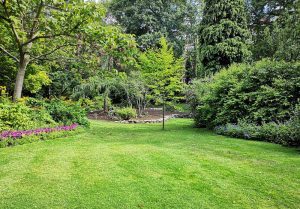 Optimiser l'expérience du jardin à L'Hermitage